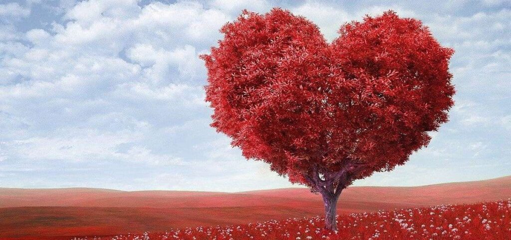 10 Trees Represent the Spirit of Valentine's Day
