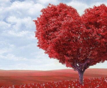 10 Trees Represent the Spirit of Valentine's Day