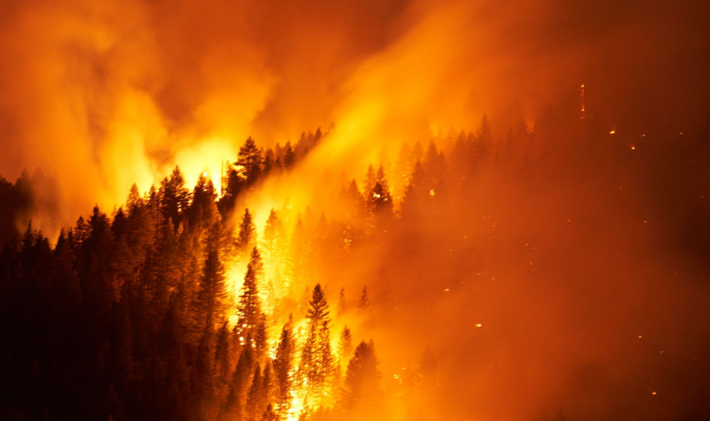The Dixie Fire - one of the largest wildfires in 2021