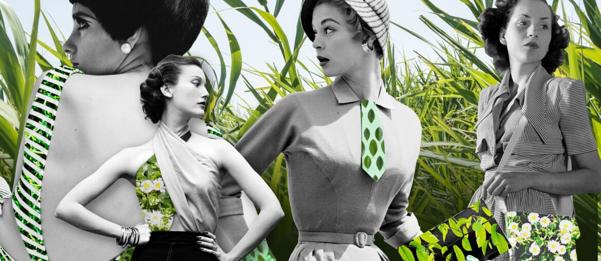 Women-owned sustainable brands