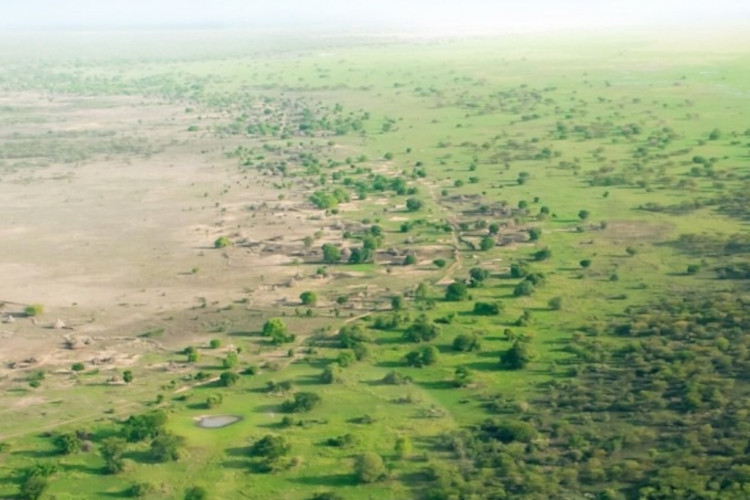 The Great green wall of Africa