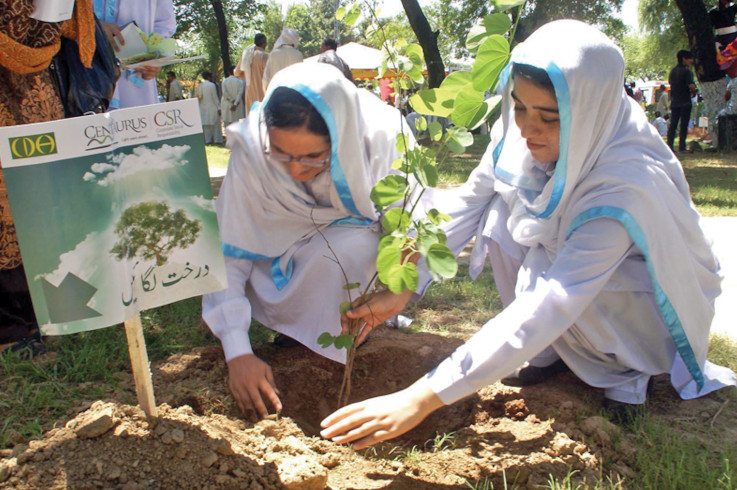 Pakistan children planting trees
