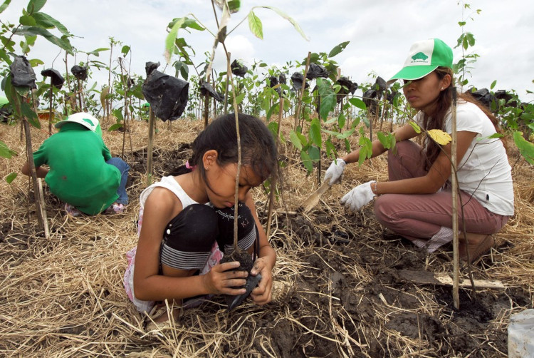 Philippine Children planting trees