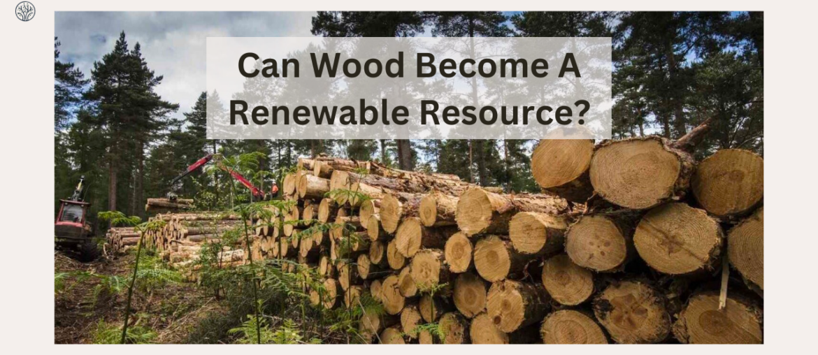 is wood a renewable resource?
