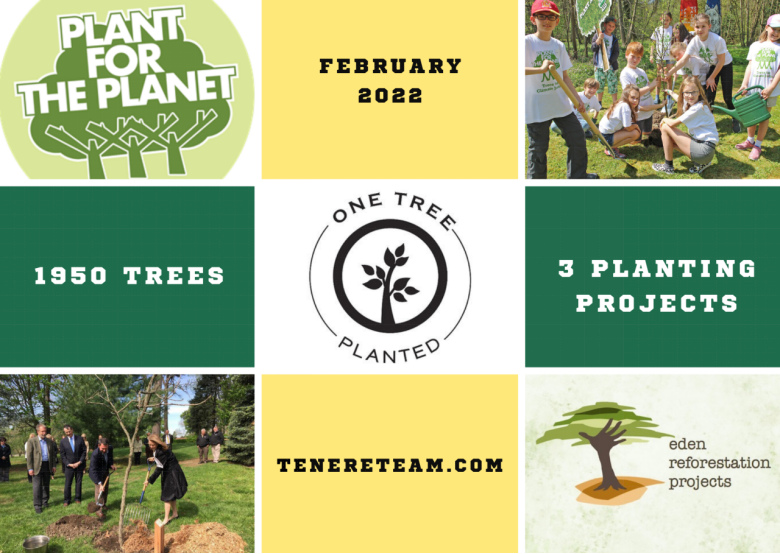 Tree Donation Update: 1,950 Trees in February 2022