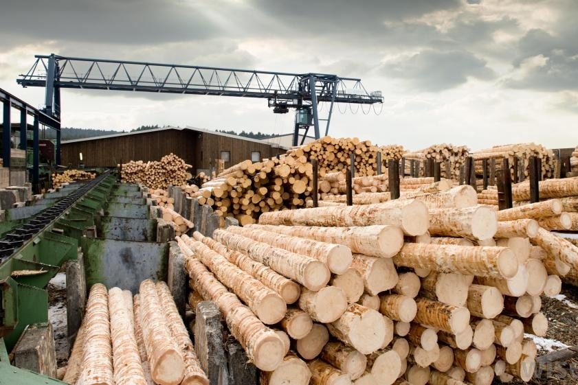 Wood is a potential solution for future eco-friendly, sustainable production.