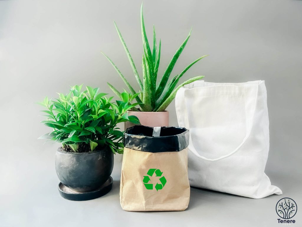 Sustainable shopping bag
