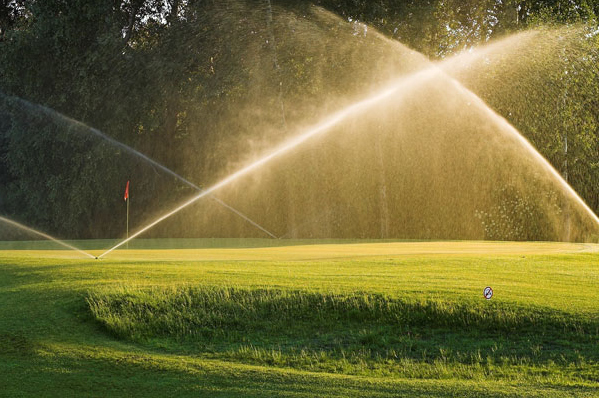 water saving golf course