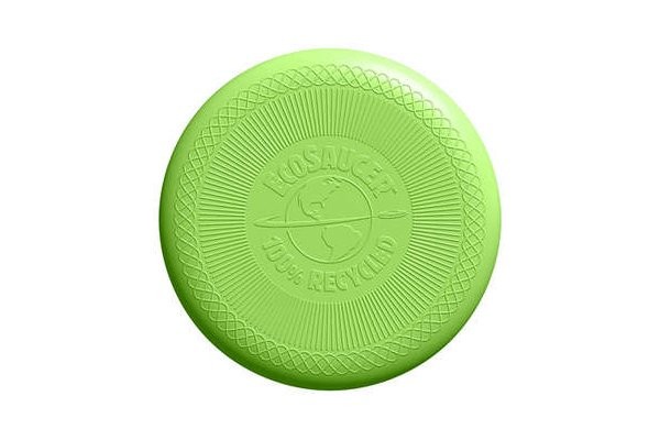 The Green Toys’ Eco Friendly Frisbee
