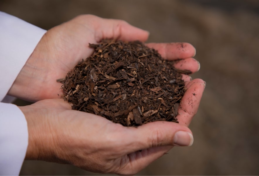 compost is cheap with coupons