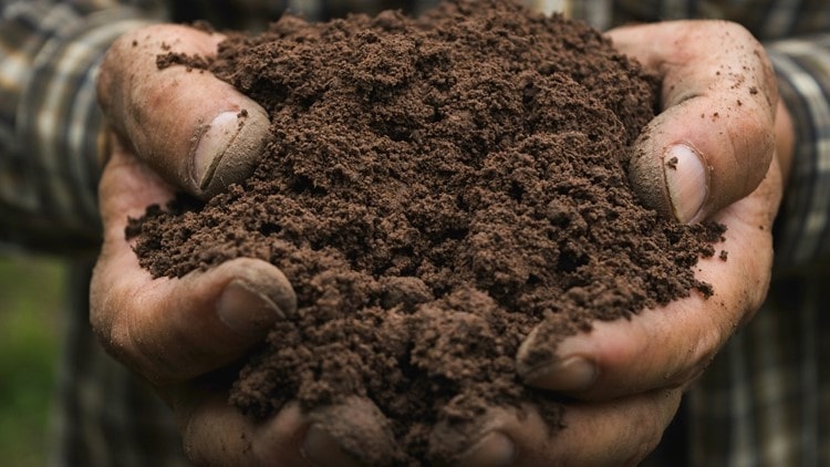 compost helps land get more nutrients