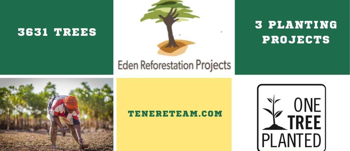 Tree Donation April Update
