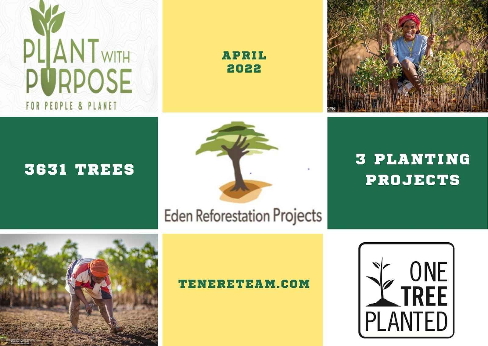 Tree Donation Update: 3,631 Trees in April 2022