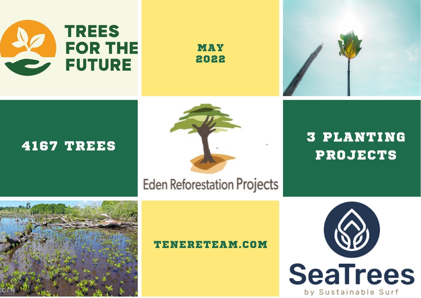 Tree Donation Update: 4,167 Trees & Interview with Eden Reforestation Projects