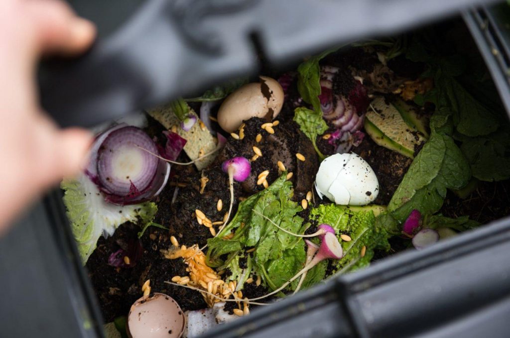 Instead of throwing leftovers away, why not compost them?