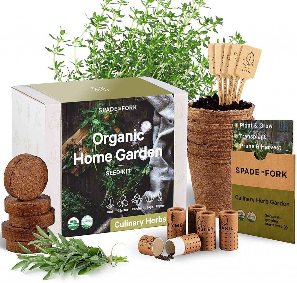 Organic Home garden seed kit
