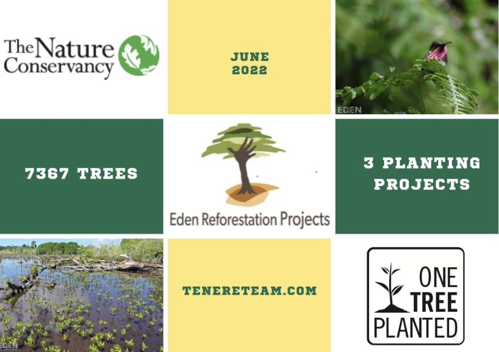 Tree Donation Update: 7367 Trees & Exclusive Interview w/ One Tree Planted