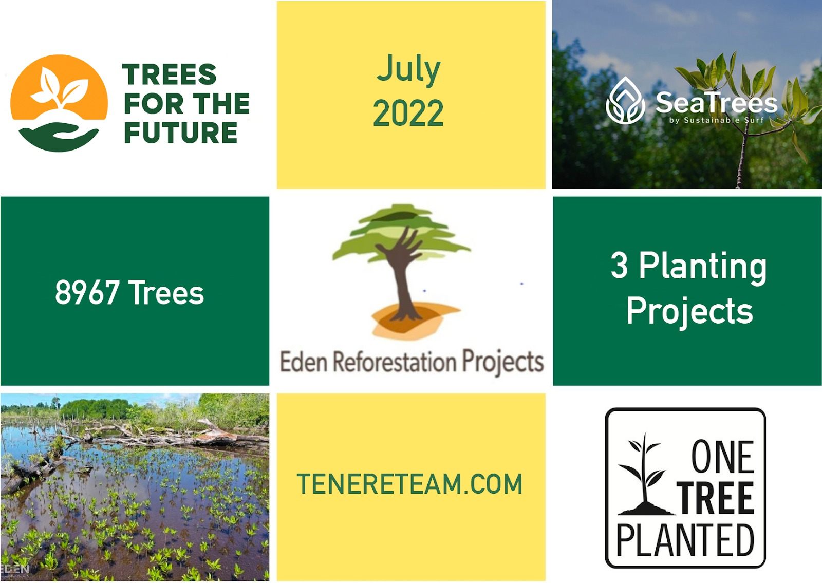 Tree Donation Update: 8967 Trees of July & Interview w/ The Potential SeaTrees