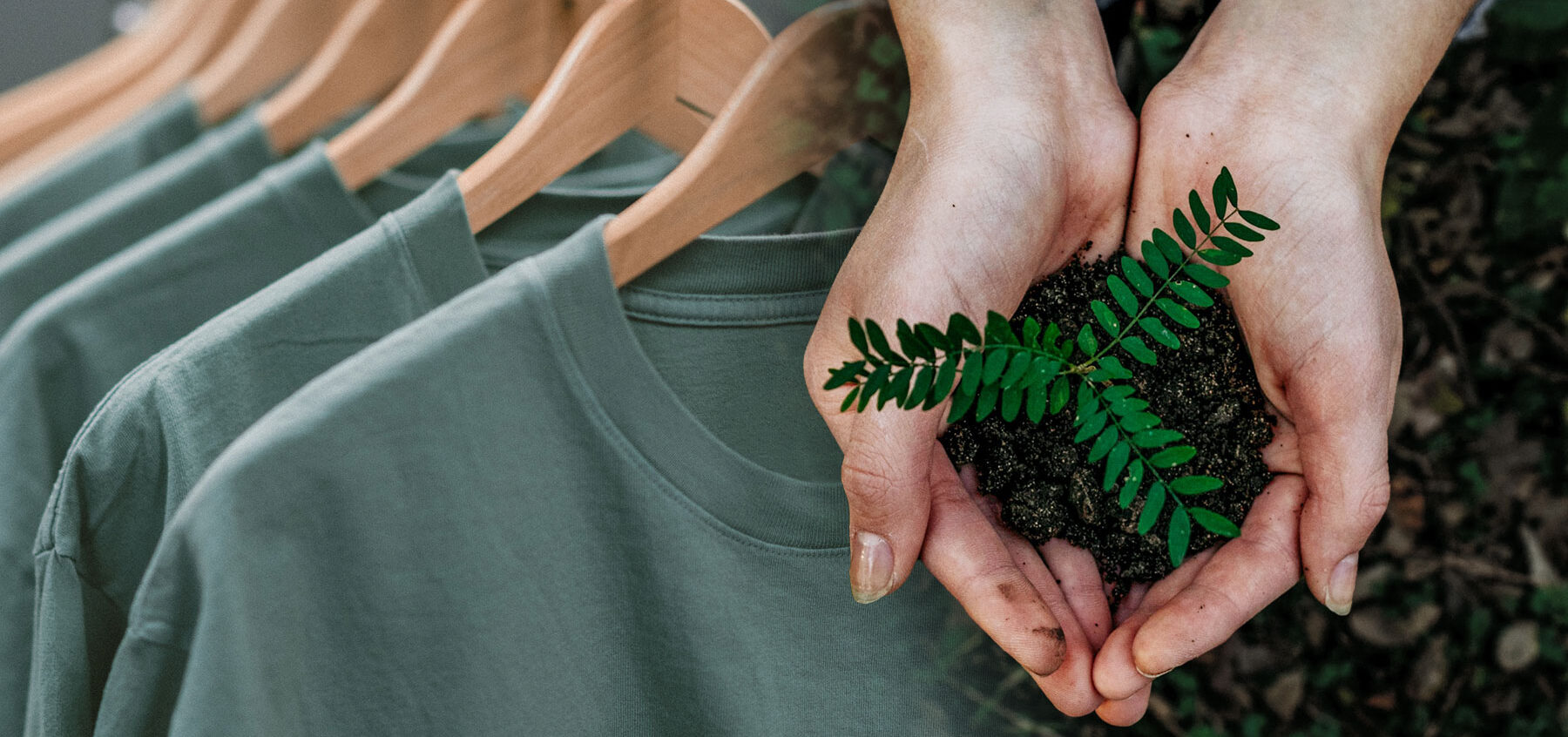 10 Clothing Brands That Plant Trees For Your Every Purchase