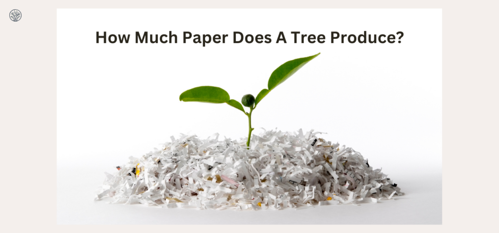 how much paper does a tree make?