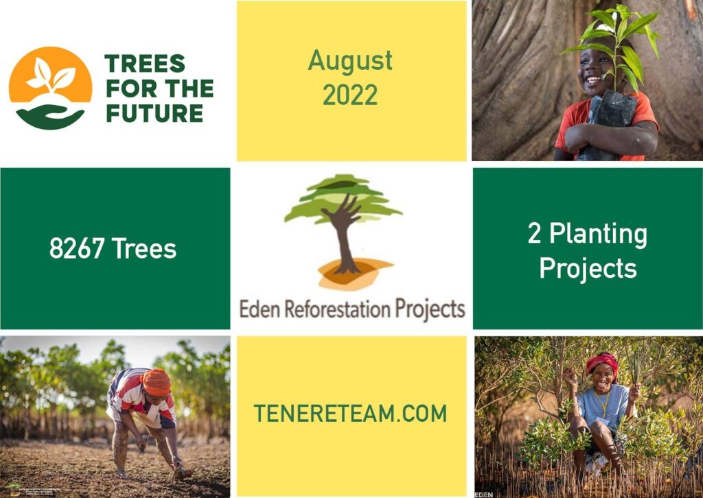 tree donation update august