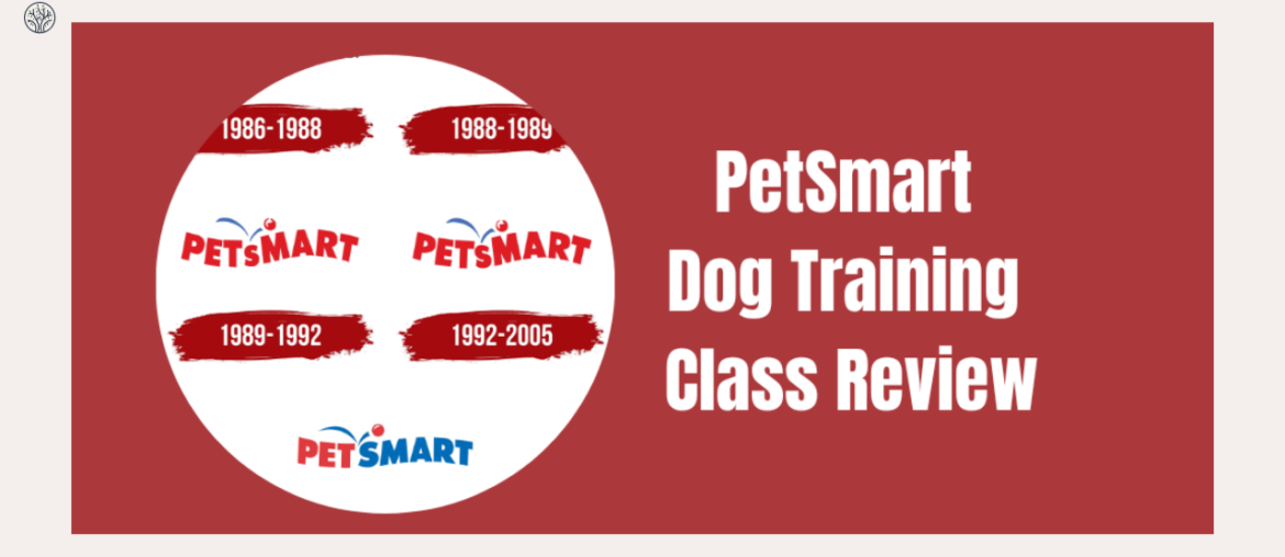 PetSmart Dog Training Class Review