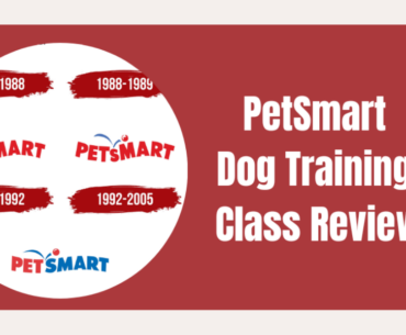 PetSmart Dog Training Class Review