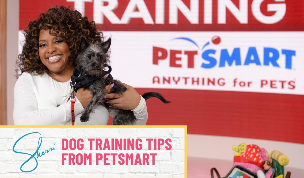 petsmart dog training review: trainers