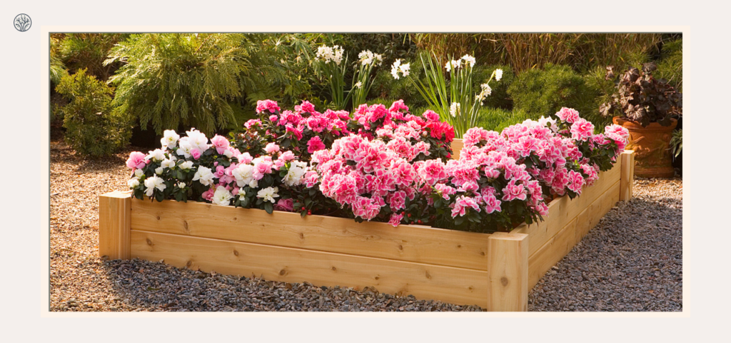 10 Flowers To Plant In Raised Garden Beds