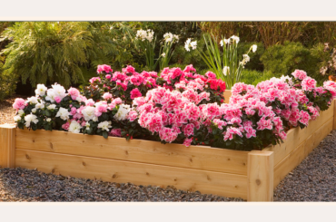 10 Flowers To Plant In Raised Garden Beds