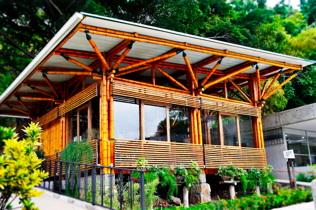 Eco Friendly Building Materials: Bamboo