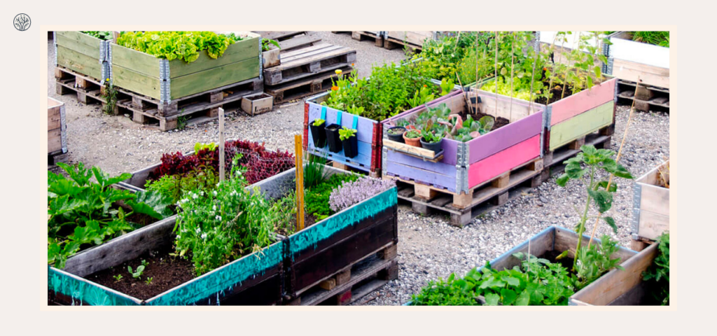 introduce about urban gardening