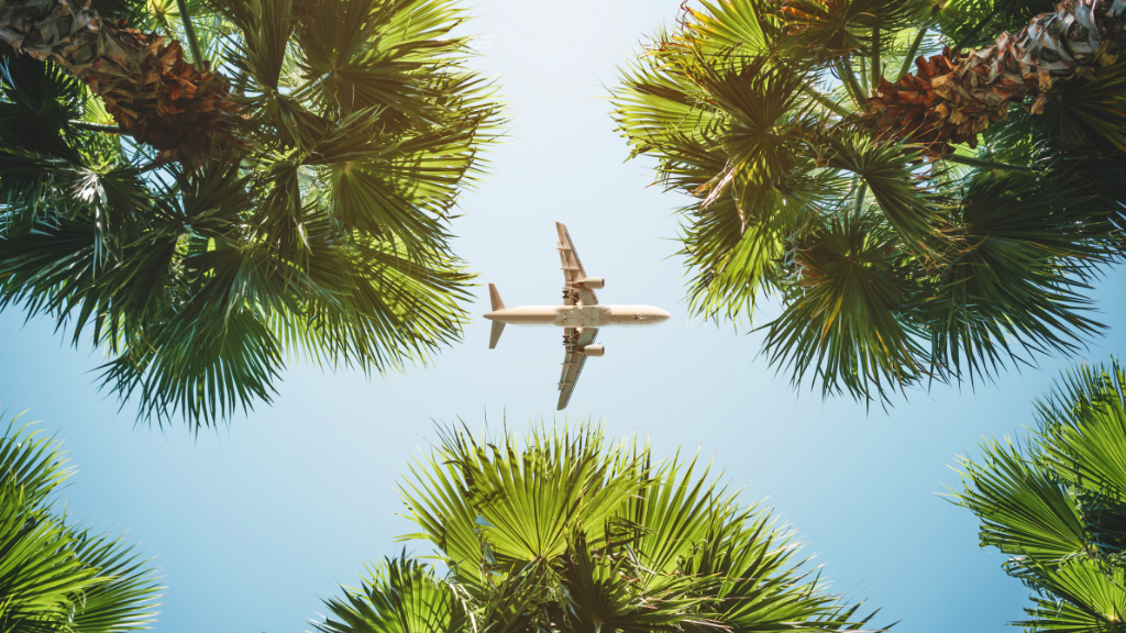 avoid air travel to reduce carbon footprint