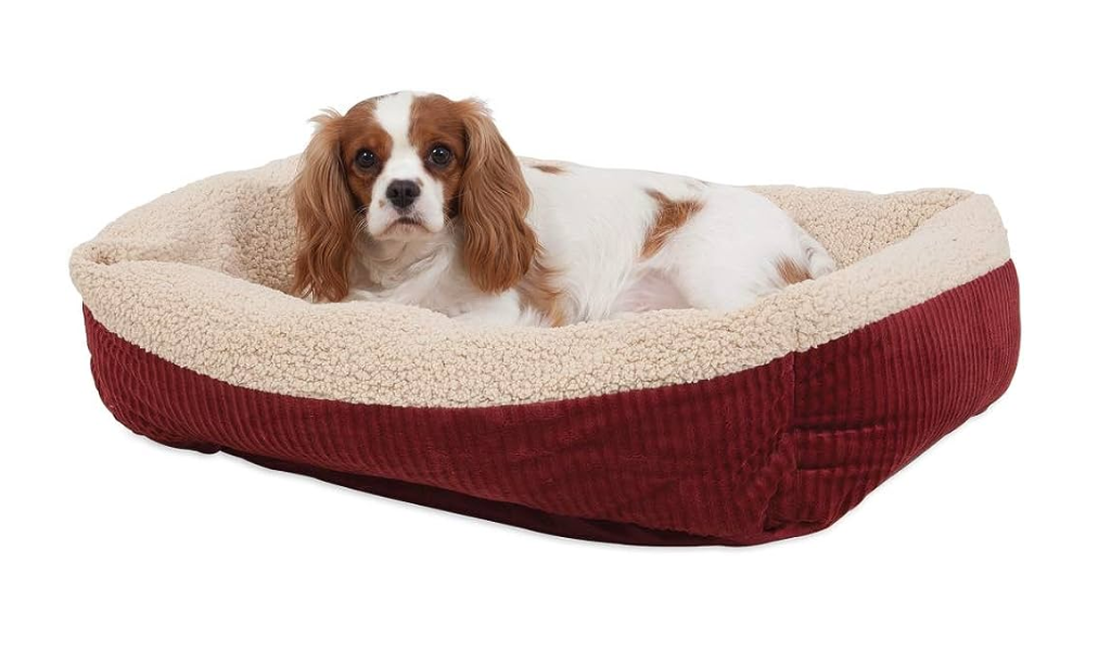 best dog beds for winter: aspen