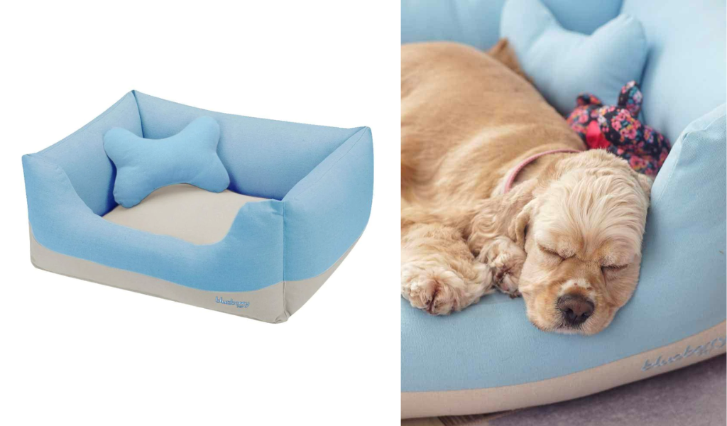best dog beds for winter: blueberrypet