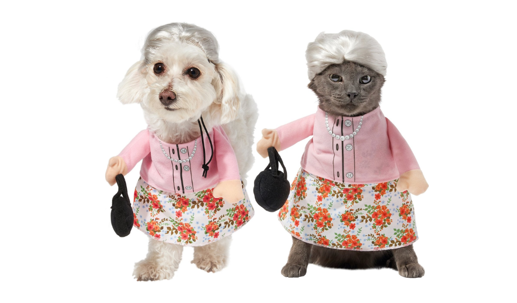 best dog Halloween costumes granny