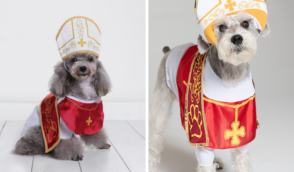 best dog Halloween costumes holy hound
