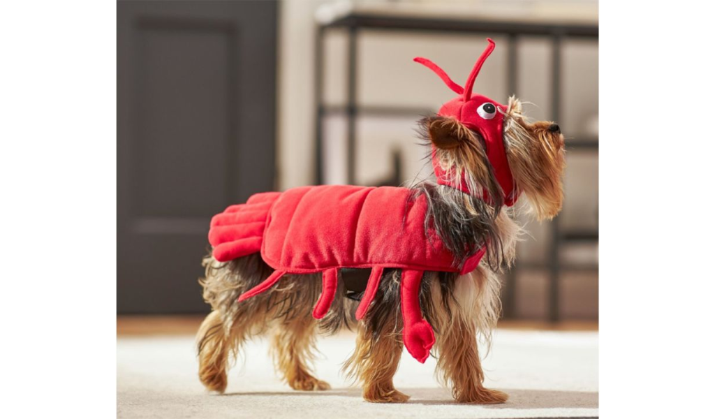 Frisco Red Lobster Dog & Cat Costume