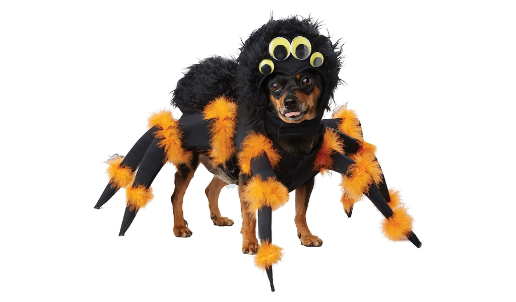  Pet Spider Dog Costume 