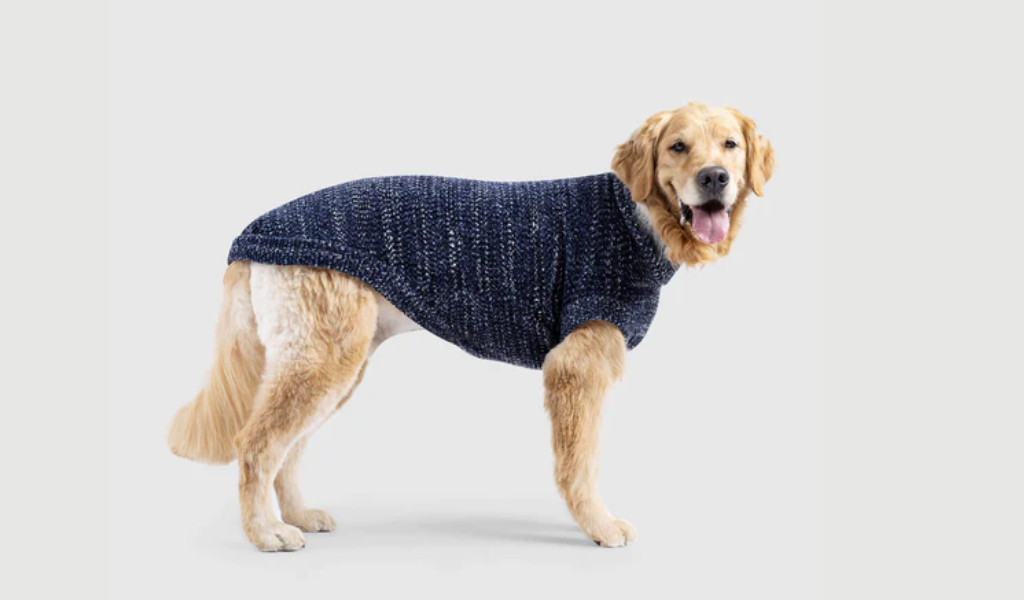 best dog sweaters for winter soho