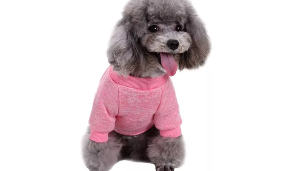 best dog sweaters for winter jecikelon
