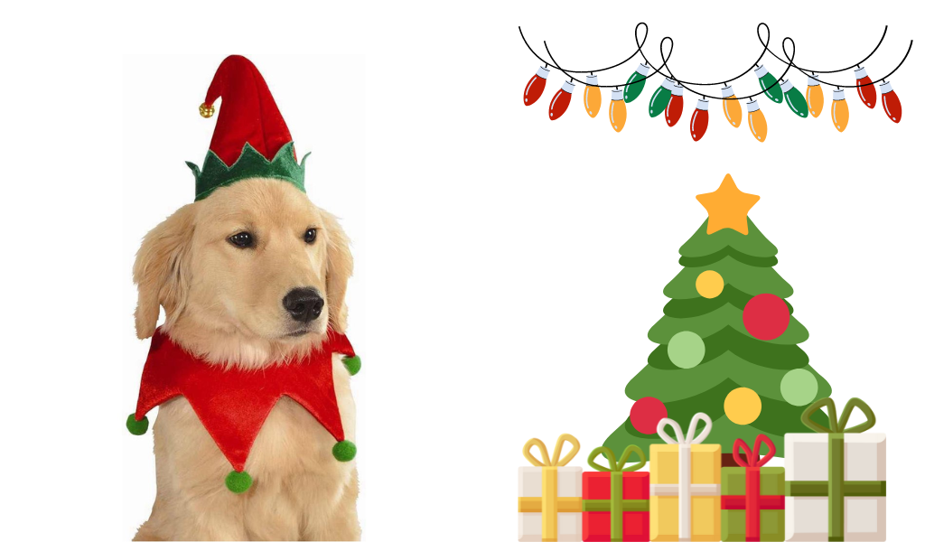 Elf Hat And Collar Christmas Pet Costume