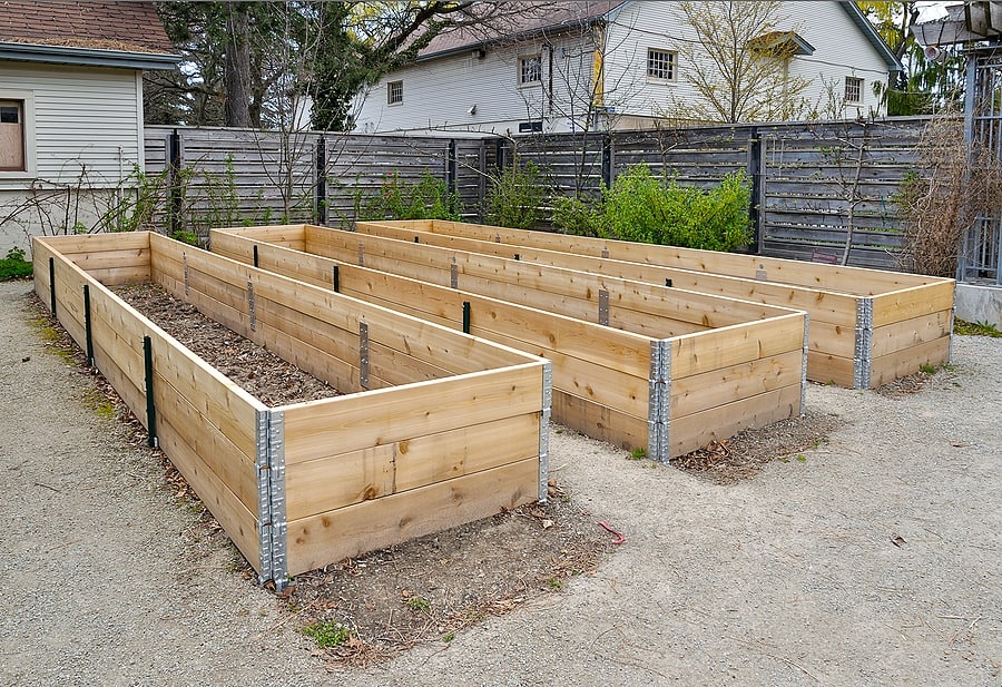 how to build a raised garden bed: framing the bed