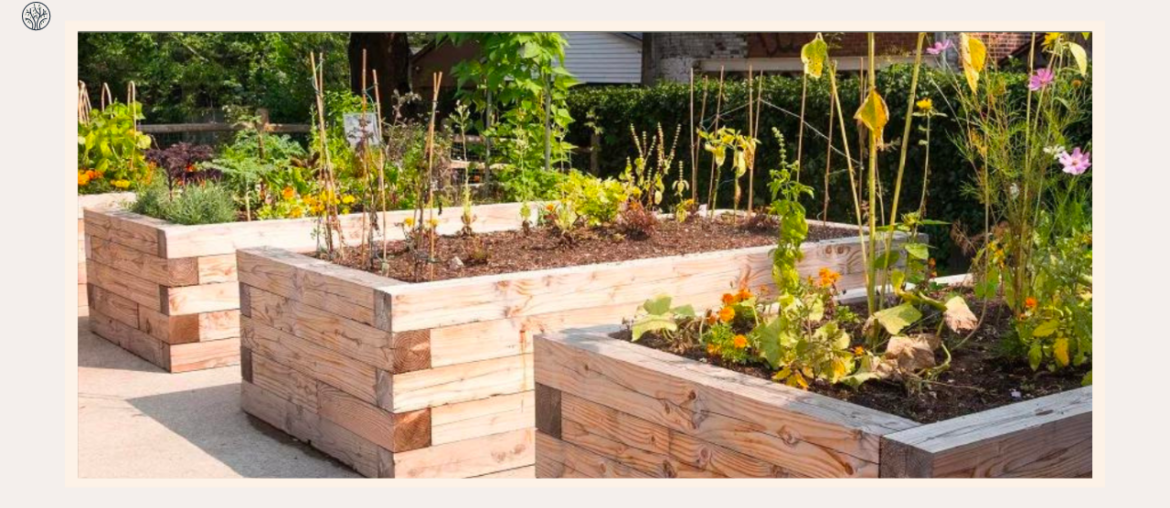 how to build a raised garden bed