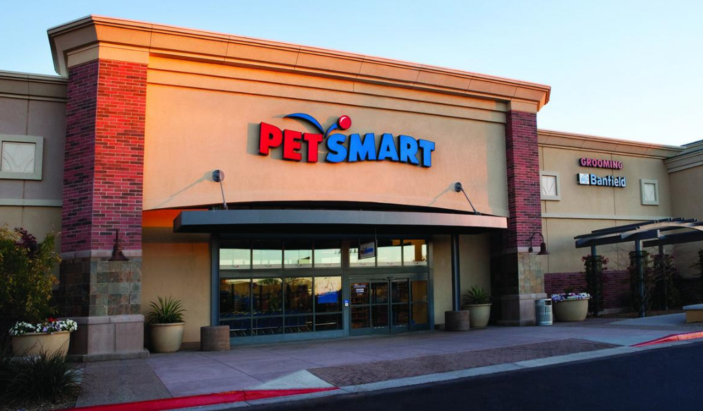 where to buy cheap cat food? petsmart