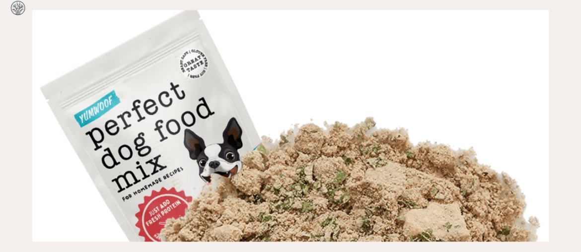 Yumwoof Review: Is Their Natural Dog Food Good?