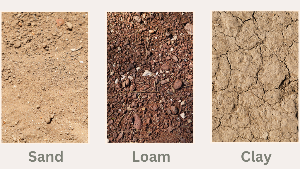 3 type of soil texture