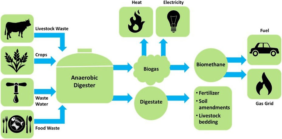 eco-friendly fuels for cooking: Biogas