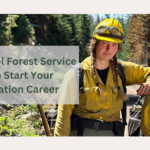 Entry Level Forest Service Jobs