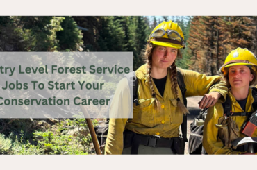 Entry Level Forest Service Jobs